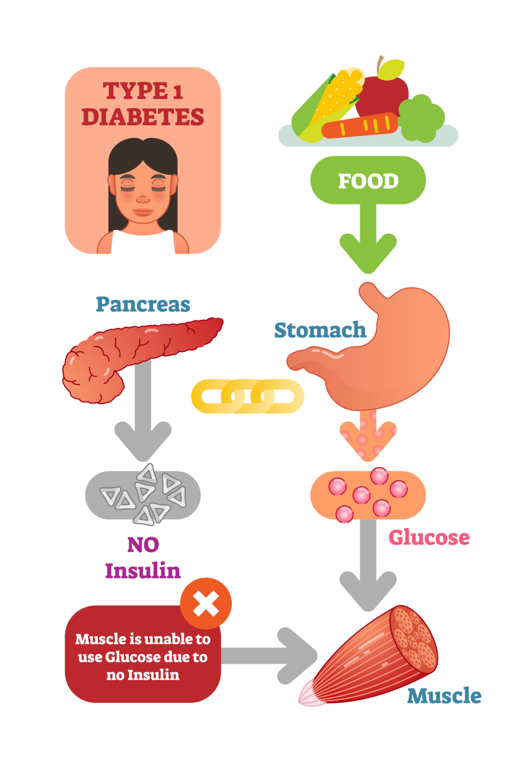 Diabetes Basics - Hunter Diabetes Centre