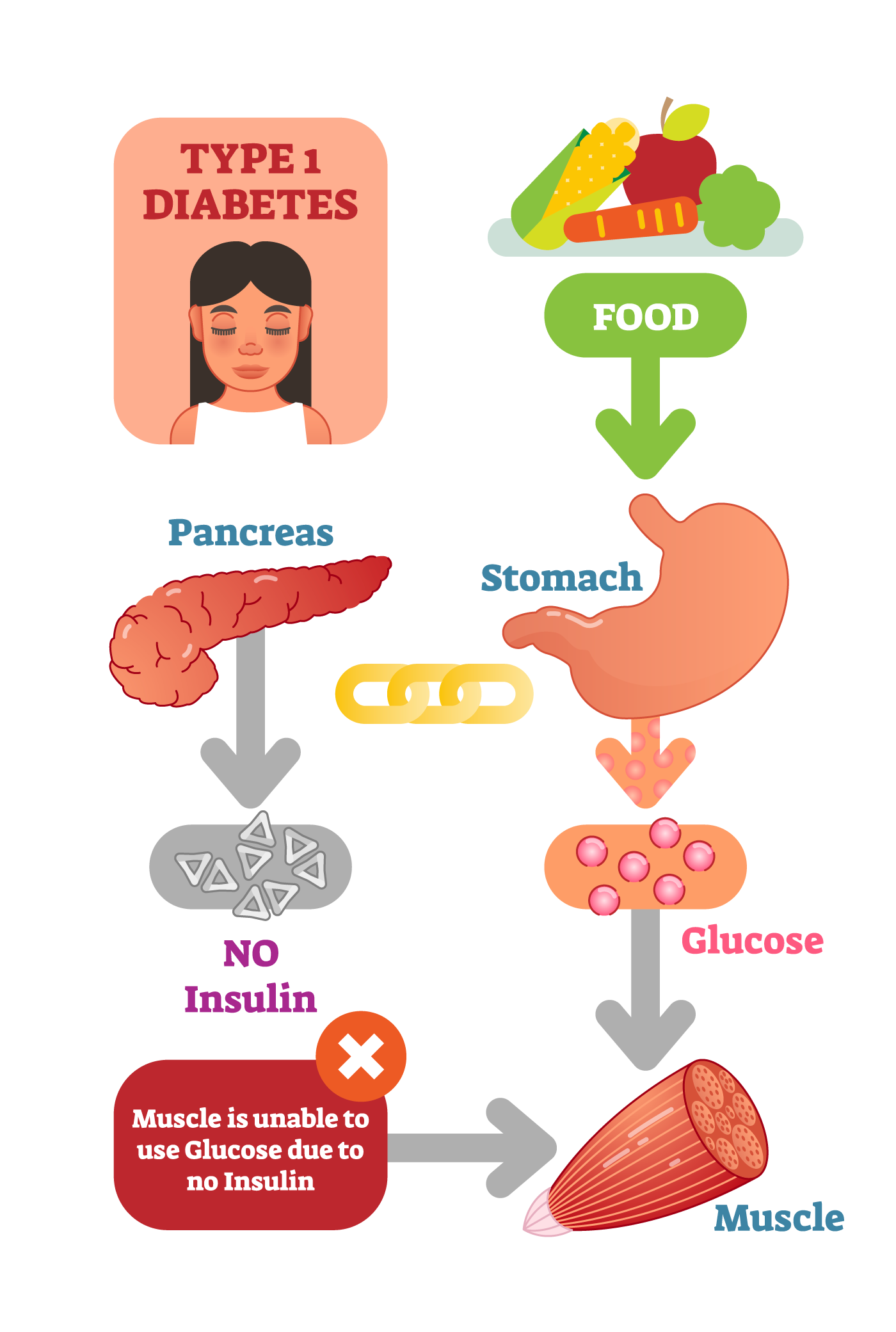 diabetes-basics-hunter-diabetes-centre